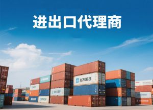 进出口代理服务